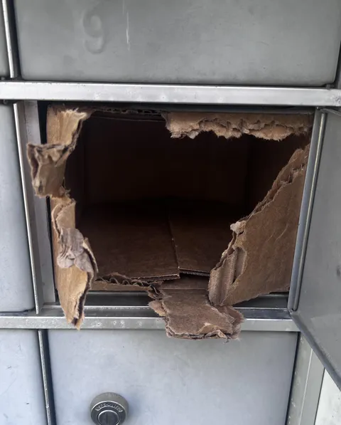 Dear mailman, don’t do me like this again. 