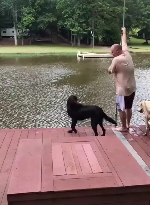 "Are you OK? Are you OK?? OMG!!! Let me rescue you!!"