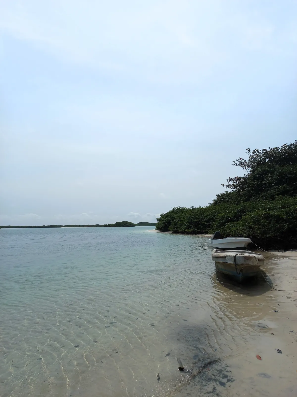 Pics from my two trips to Gabon in central Africa (Aug 2024&amp;2025)