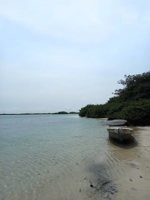 Pics from my two trips to Gabon in central Africa (Aug 2024&amp;2025)