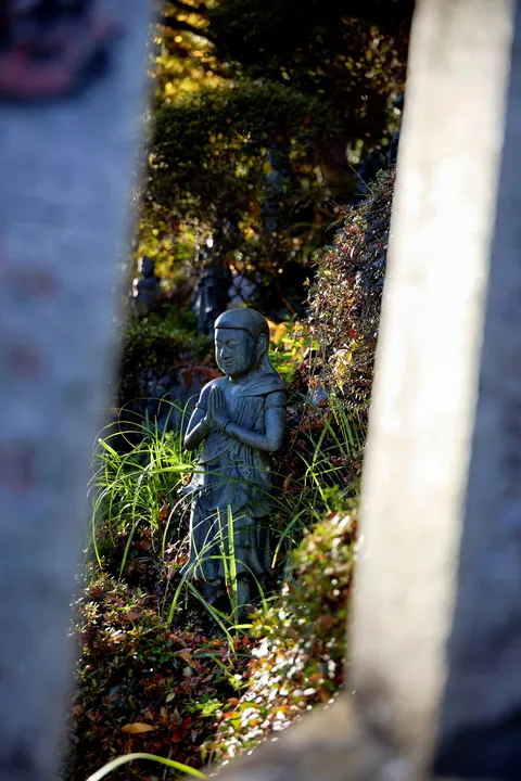 Fall colors in Japan