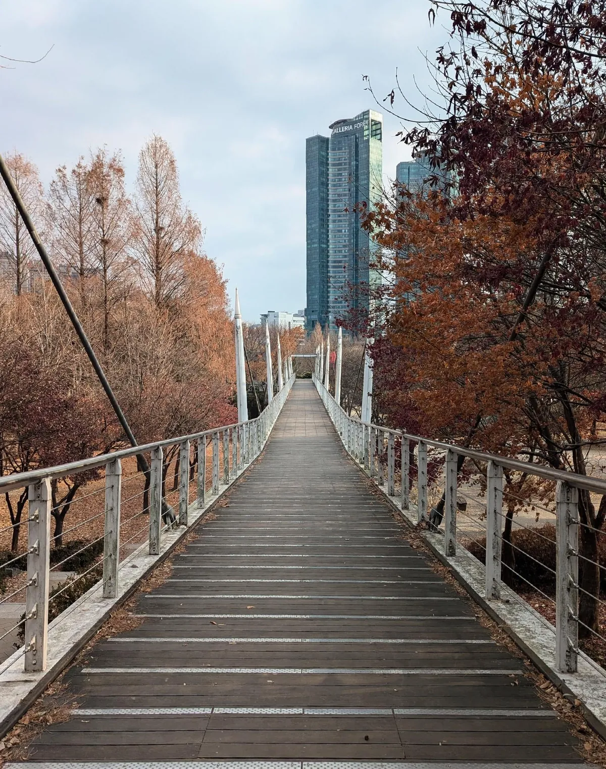 Winter in South Korea
