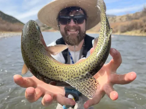 Caught the moment the fish flopped out of my hands [OC]