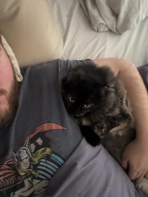 Need some prayers for my girl