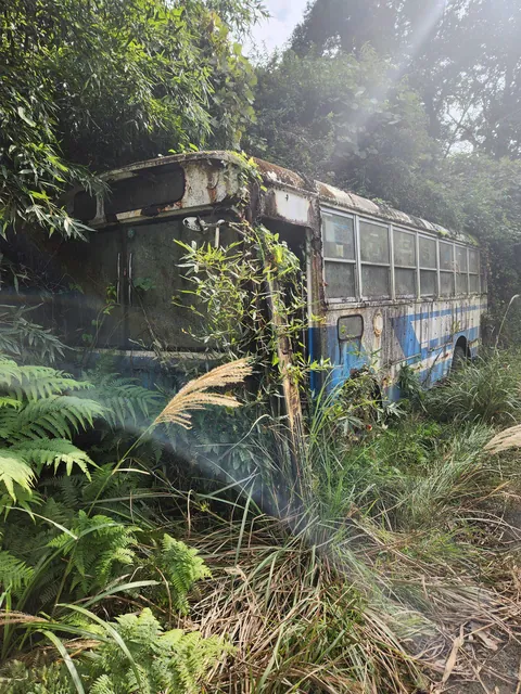 Abandoned public bus, slowly being overgrown.