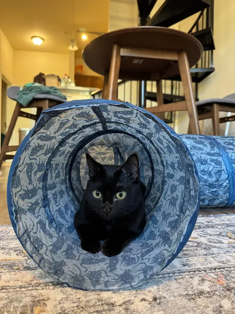 It’s my adopted baby’s first (estimated) birthday!