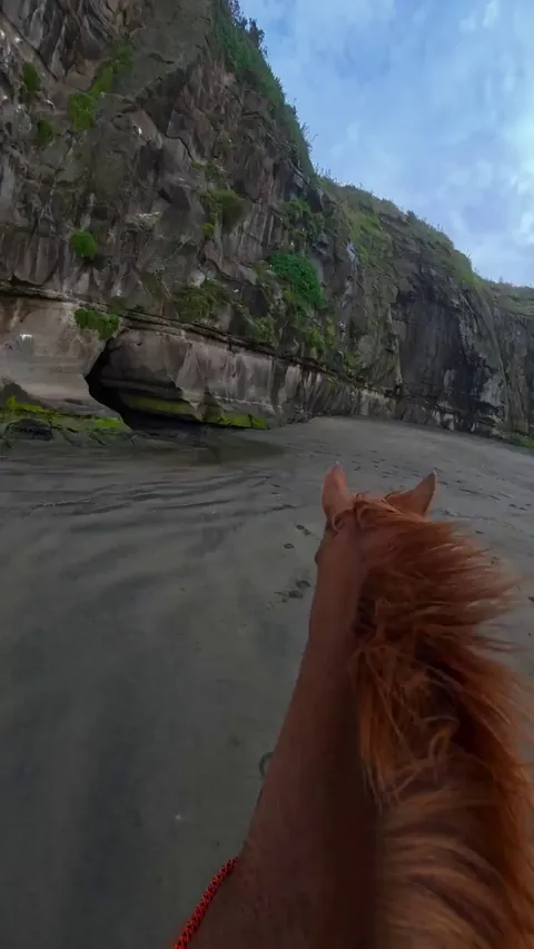 Horse galloping through a sea cave on a New Zealand beach