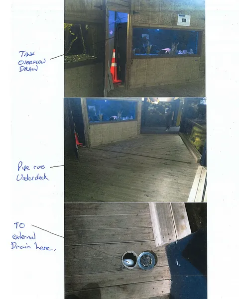 In 2016, an octopus named Inky escaped from a New Zealand aquarium. He crawled across the floor and wriggled through a drain pipe barely wide enough for his beak into the ocean, disappearing without a trace and leaving only wet trails behind.