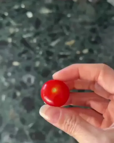 When your pet is just trying to sleep.