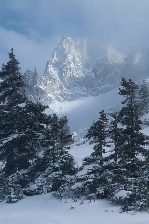 Wintry landscapes in British Columbia's beautiful Coast Mountains [OC] [1278x1920]