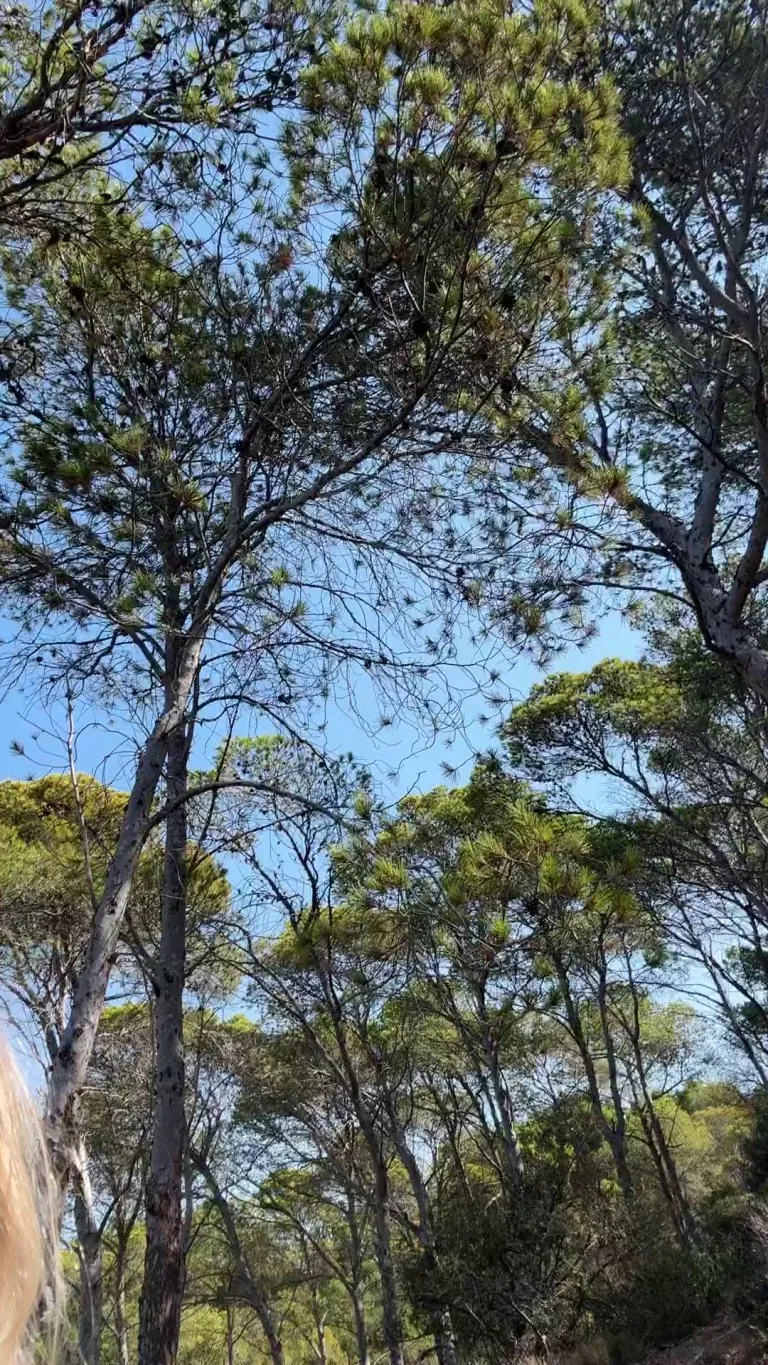 Would you dare to join me? 🌞