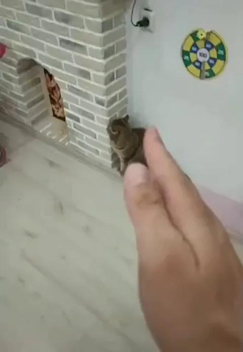 Favorite martial art partner