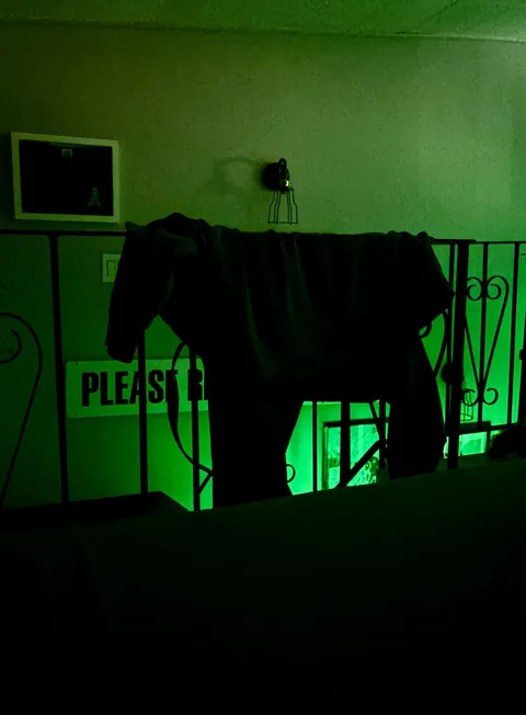 Tossed my hoodie on a railing last night. Was startled awake today by the sleep paralysis donkey.