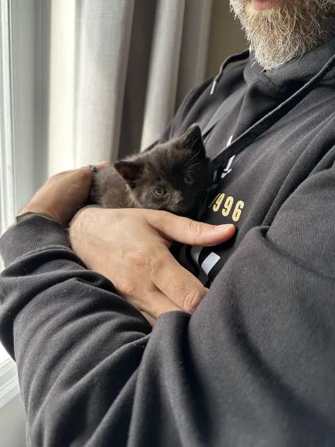 Saved a kitten on the side of the road…
