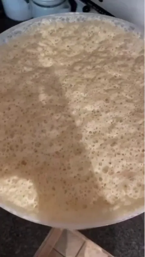 This sourdough starter