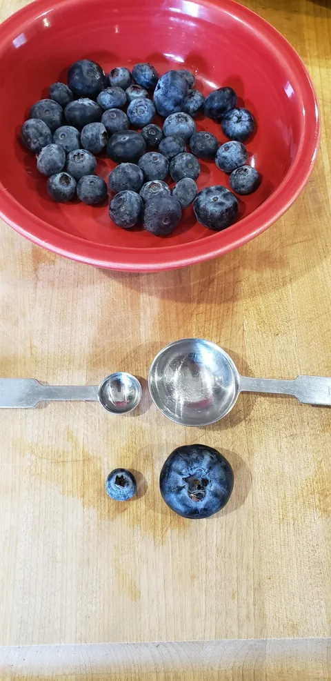 The biggest Blueberry I've ever seen. [Produce]