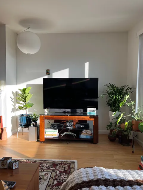 Daytime vs. Nighttime!