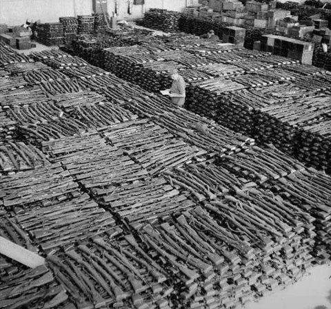 Captured German Mauser 98k rifles. Norway, (1945)