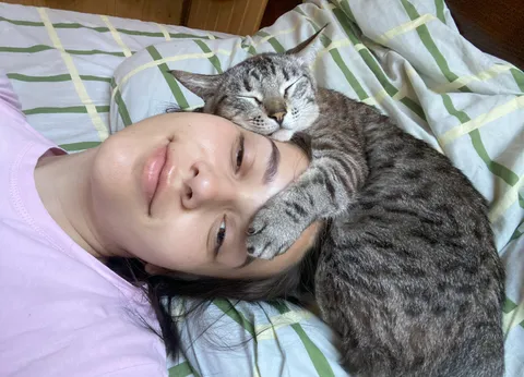 Certified emotional support cat 🤍