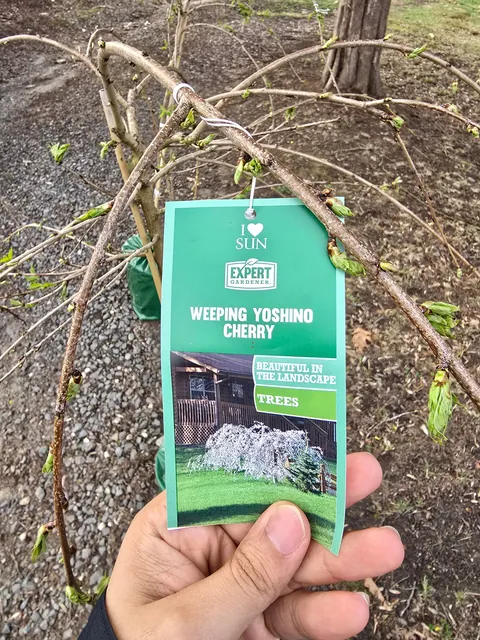 I got the deal of the year!!! 20 bucks