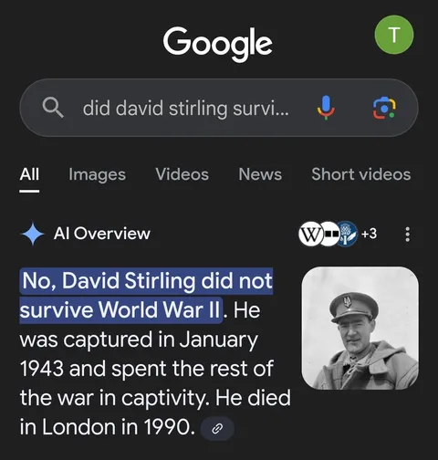 Google AI doing a cracking job