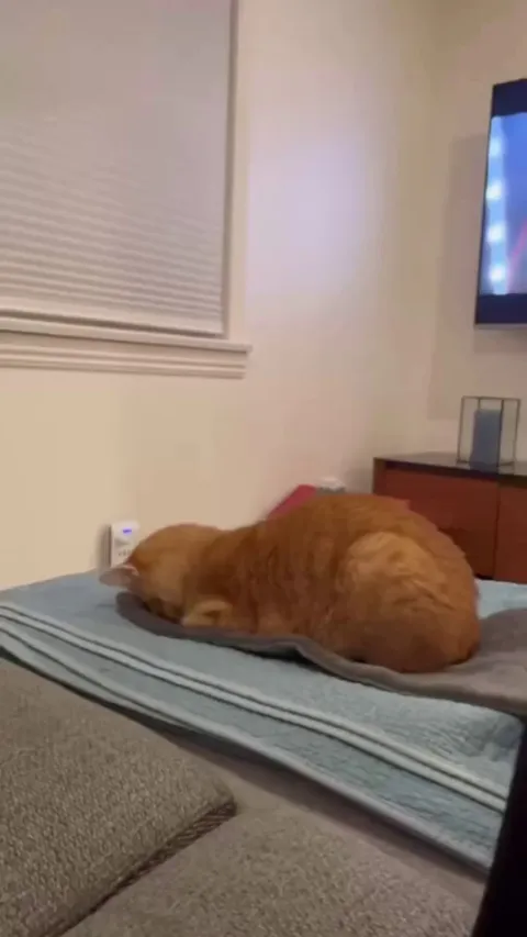 well… mom tried her best