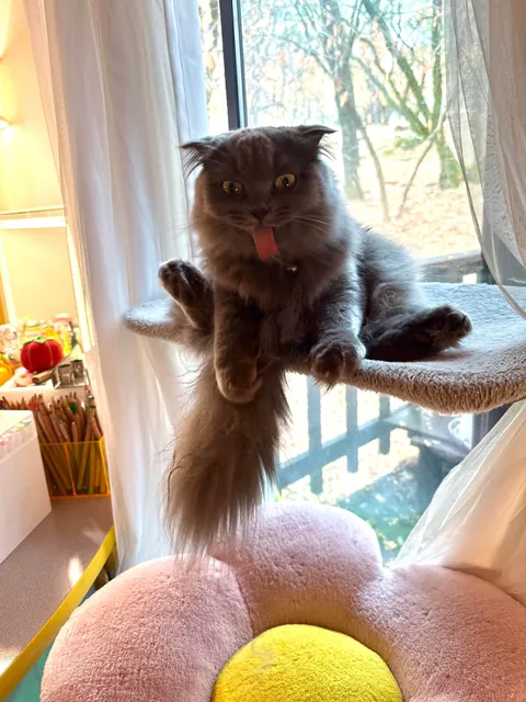 WHAT EVEN IS THIS THING