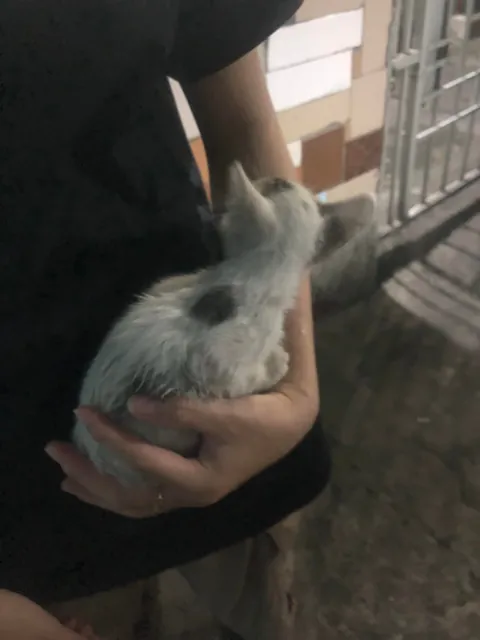 I just adopted him❤️