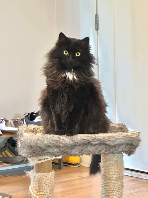 Am I just biased, or is my girl a legit model?