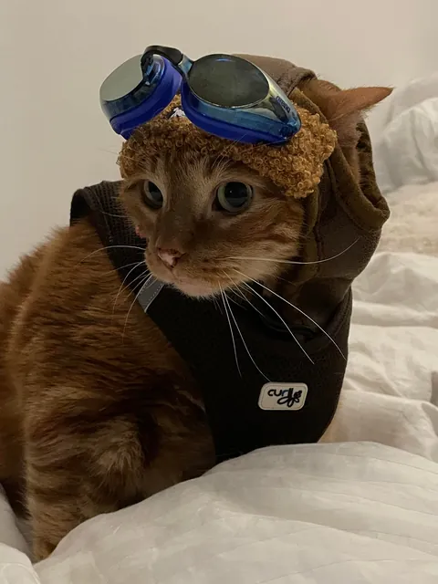 Jetpack Cat Cosplay