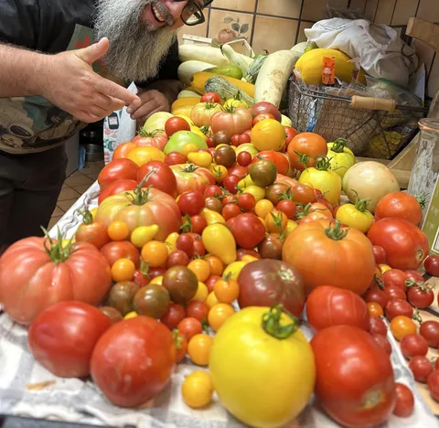 Today made me remember why I spent all the months hand tilling soil, pulling weeds, laying water lines, fighting bugs and walking the garden everyday😌