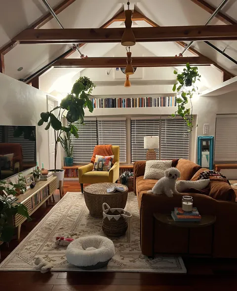 just moved in, temp living room