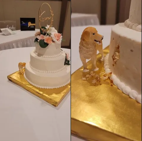 this wedding cake