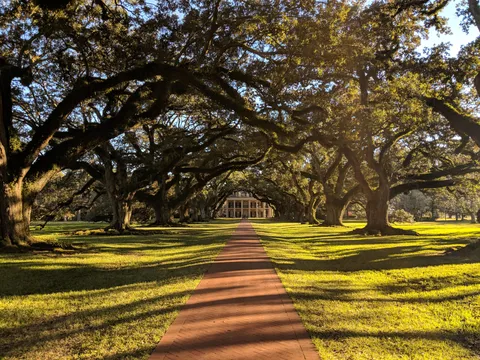 Travelling in the U.S can be gorgeous as well - Oak Alley Plantation in Louisiana
