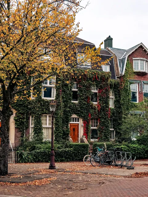 Ivy-covered house in the Oud-Zuid neighborhood of Amsterdam, the Netherlands.