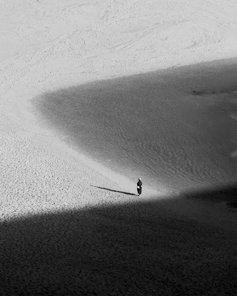 Woman in the Dunes