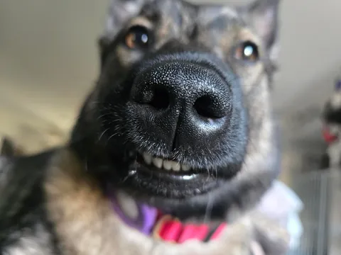 Shelob hopes you have a good weekend!