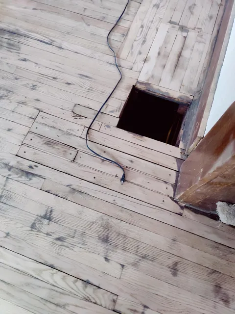 Restored 1916 hardwood floor Midwest