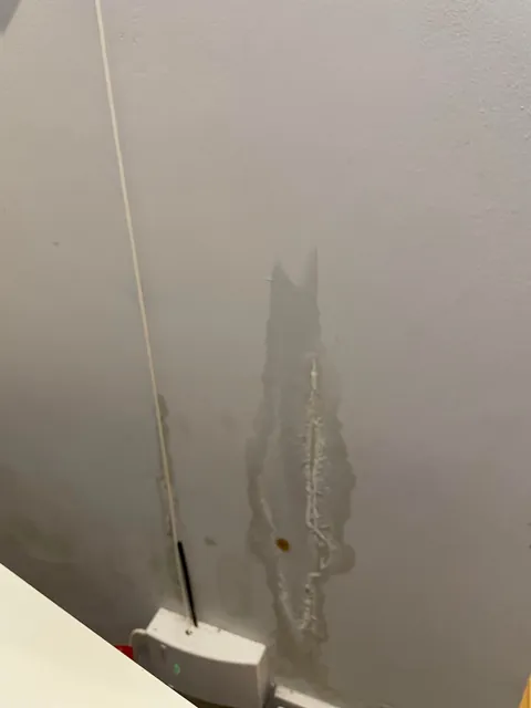 Anyone know what this it?