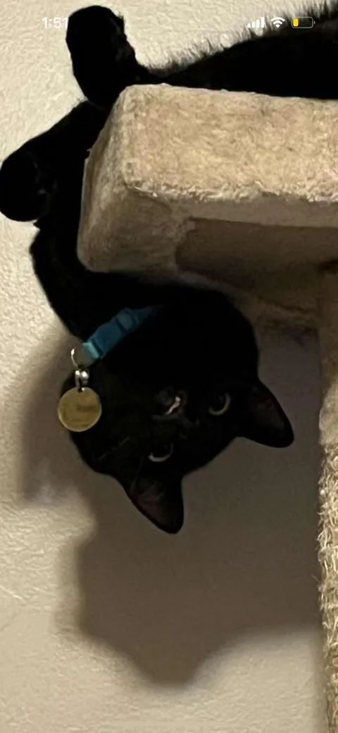 What is your void’s origin story?