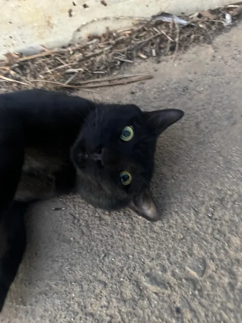 I think I really fucked up :(