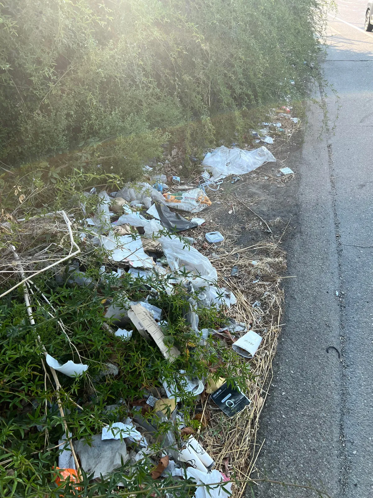As a sole volunteer, I work in my free time to help remove illegal dumping across the San Francisco Bay Area