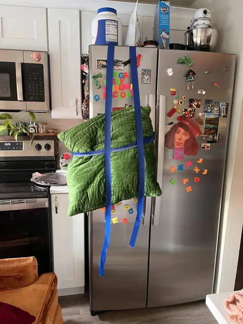 Fridge door alarm has been blaring since 3:30 this morning