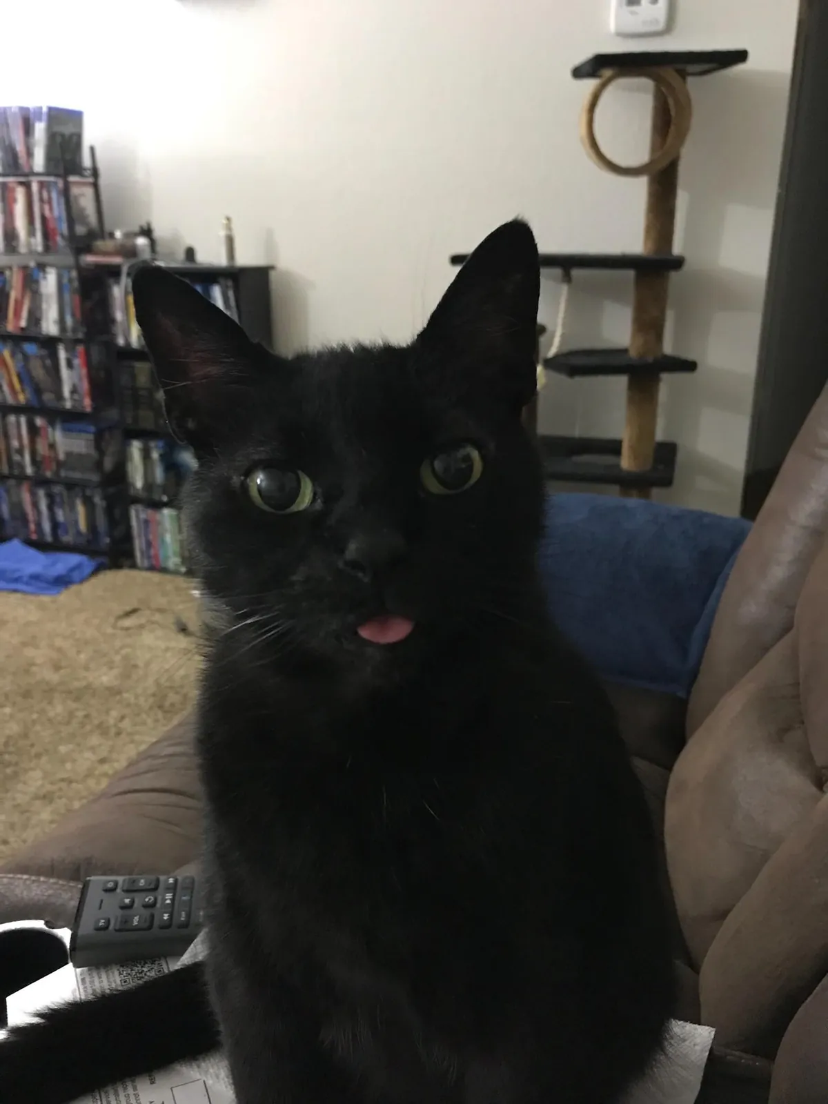 Tomorrow morning, I'll say goodbye to my friend of nearly 20 years 😢