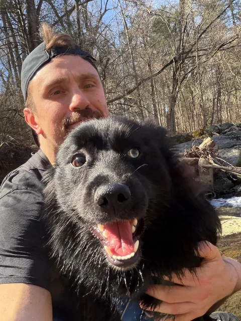 How it started -> How it’s going! Blessed to have found my best friend and adventure partner in a crowded rescue.