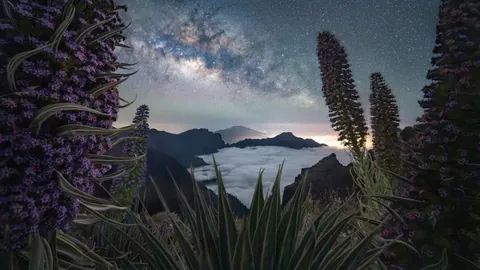 🔥 17 images from the Milky Way Photographer of the Year awards 2026