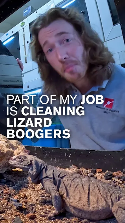 Why Desert Lizards Sneeze