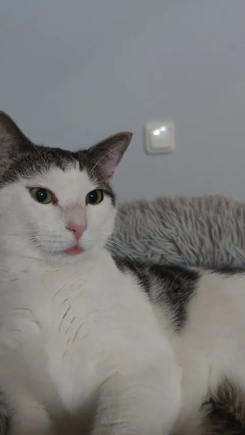 I just woke up and saw this