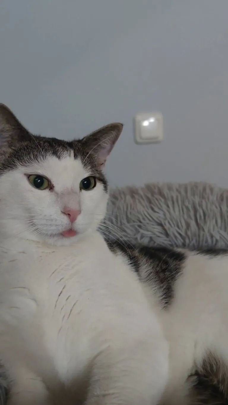 I just woke up and saw this