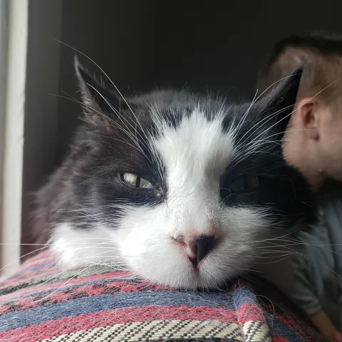 His final moments was this morning,  im broken.